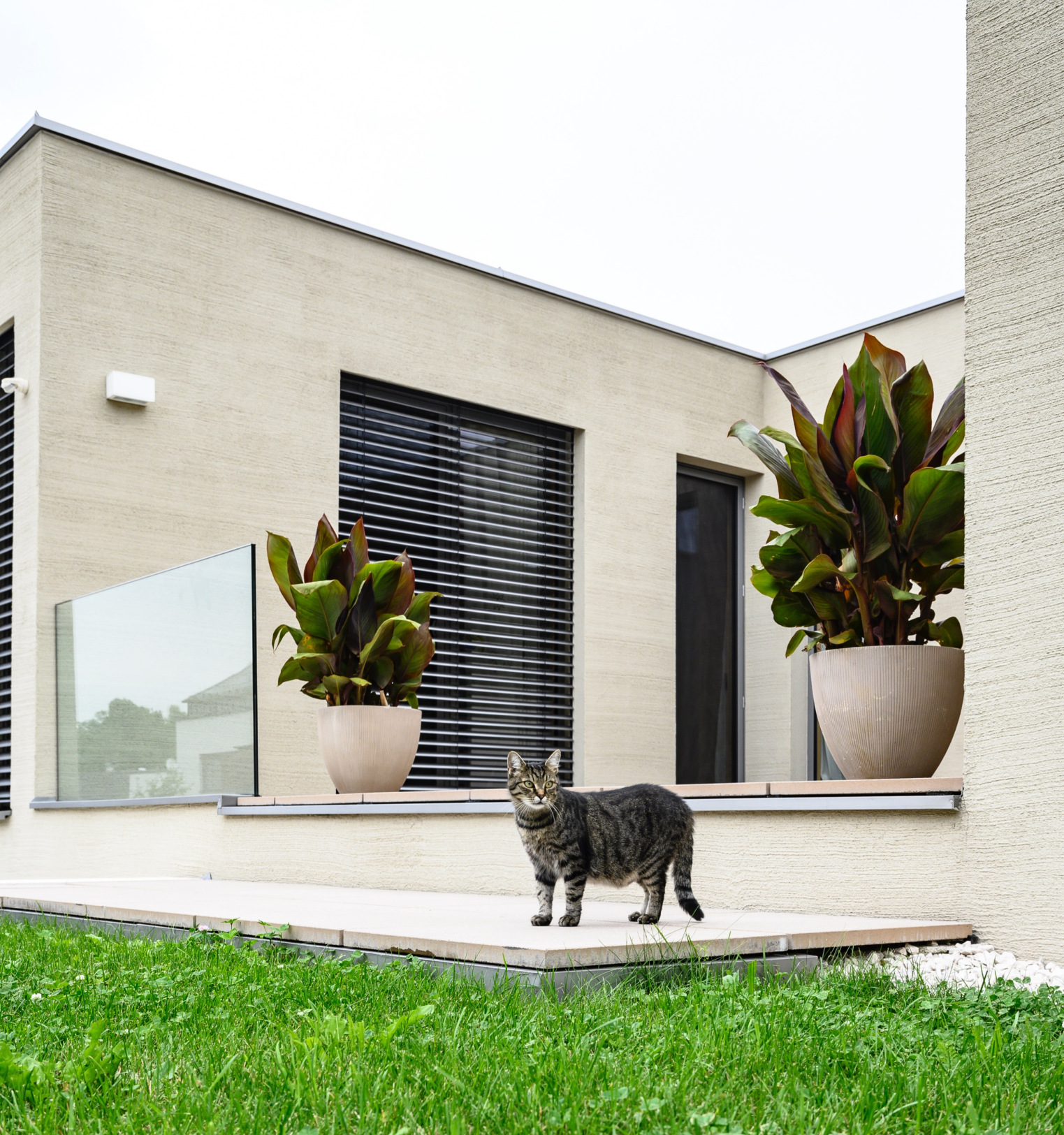 hemp insulation wood fiber facade